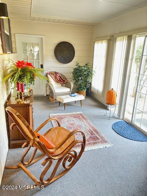 living area with carpet