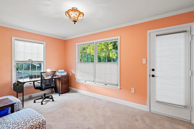 office space featuring light carpet and crown molding