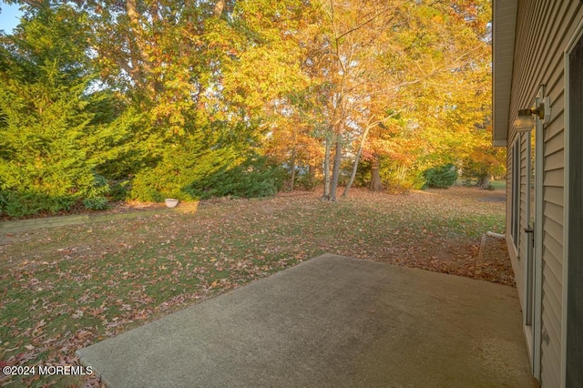 view of yard with a patio