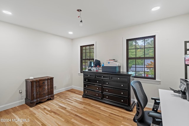 office area featuring light hardwood / wood-style flooring and a wealth of natural light