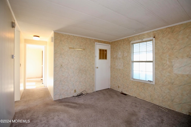 empty room featuring ornamental molding and carpet