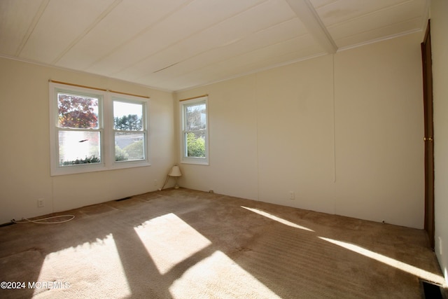 unfurnished room featuring carpet floors