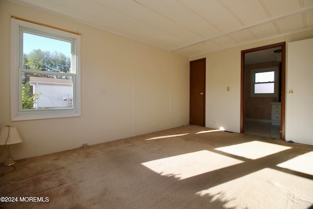 empty room with carpet flooring and a wealth of natural light