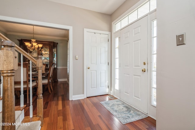 entrance foyer with dark hardwood / wood-style flooring, a chandelier, crown molding, and plenty of natural light