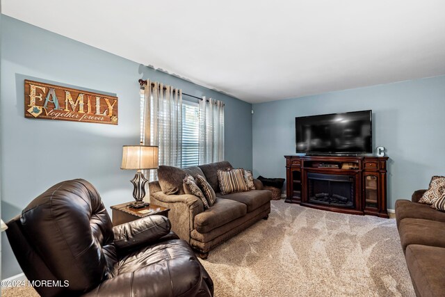 living room featuring carpet flooring