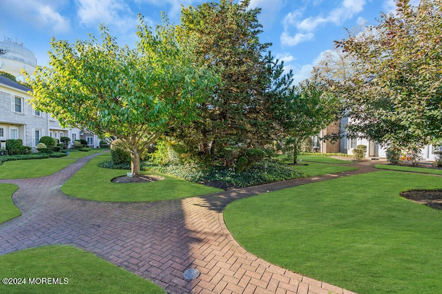 view of home's community with a lawn