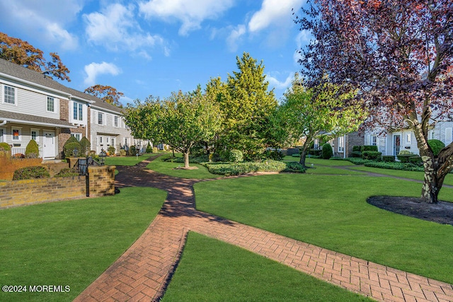 view of property's community with a yard