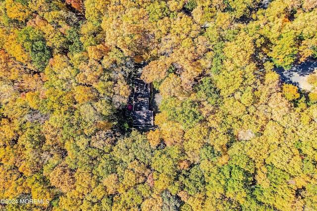 2 Filmore Dr, Millstone, NJ 08510 - drone / aerial view