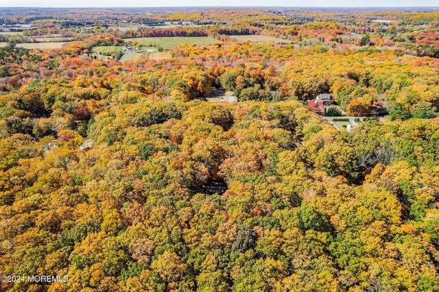 2 Filmore Dr, Millstone, NJ 08510 - drone / aerial view featuring a view of trees