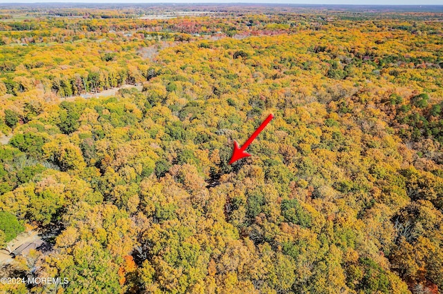 2 Filmore Dr, Millstone, NJ 08510 - drone / aerial view with a forest view
