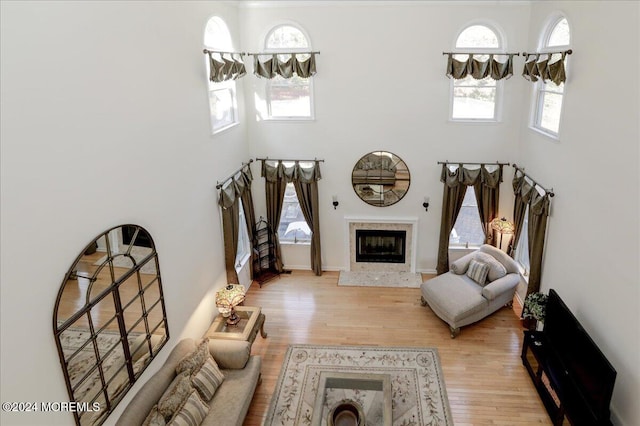 living room with a high ceiling and light hardwood / wood-style floors