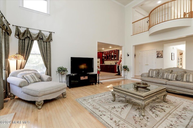 living room with hardwood / wood-style floors, a towering ceiling, and a wealth of natural light