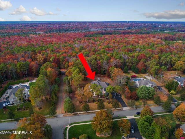 28 Saint Mary Ave, Manahawkin, NJ 08050 - photo 47