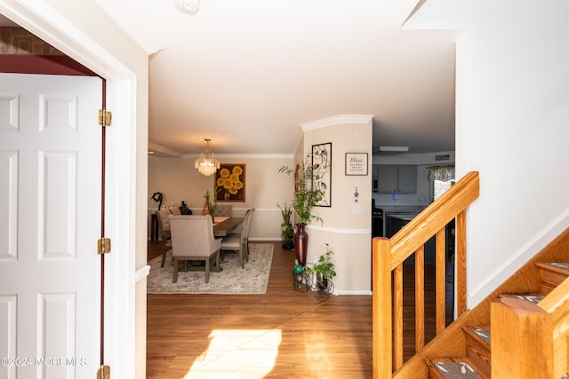 foyer entrance featuring crown molding and hardwood / wood-style flooring