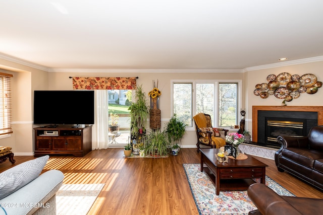 living room featuring crown molding, hardwood / wood-style flooring, and a fireplace