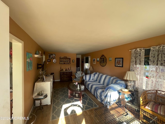 living room featuring hardwood / wood-style floors