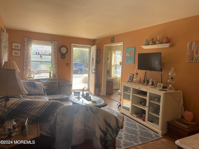 living room featuring light hardwood / wood-style flooring