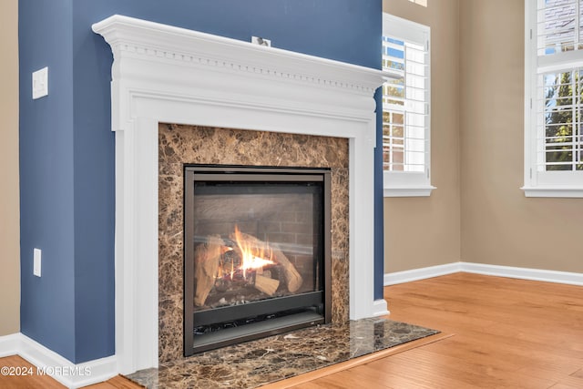 details with a high end fireplace and wood-type flooring