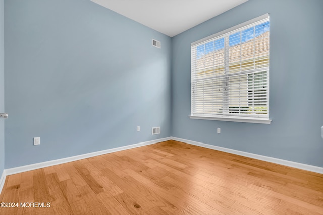 empty room featuring light hardwood / wood-style floors and plenty of natural light