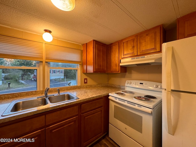 kitchen featuring a textured ceiling, dark hardwood / wood-style flooring, white appliances, and sink