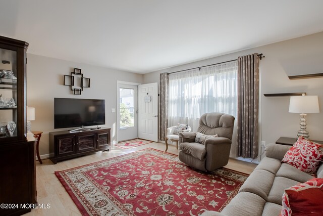 living room with light hardwood / wood-style floors