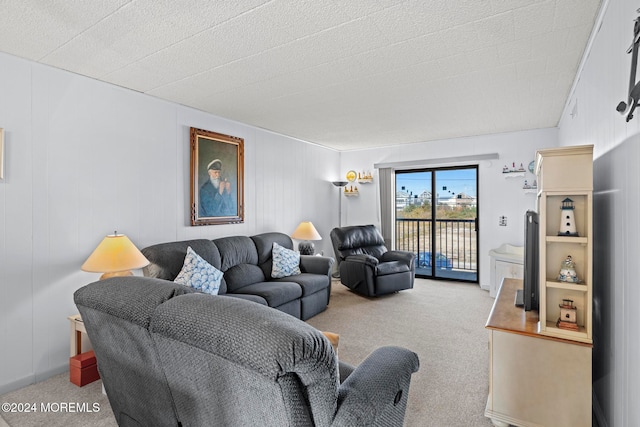 carpeted living room with a textured ceiling