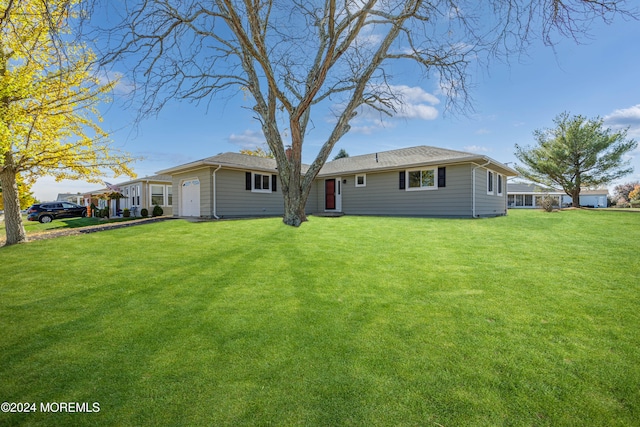 back of house featuring a lawn