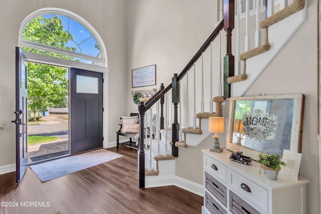 entrance foyer with dark hardwood / wood-style flooring and a high ceiling