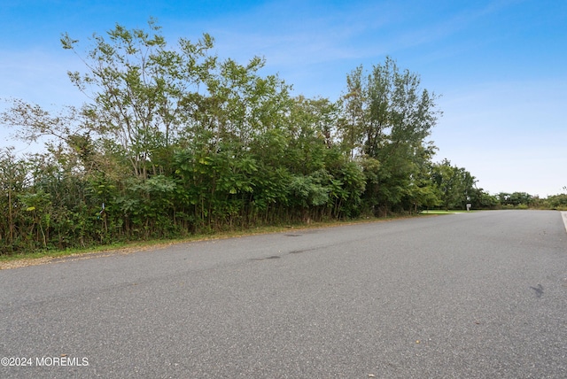202 Burning Tree Blvd, Absecon City, NJ 08201 - photo 4