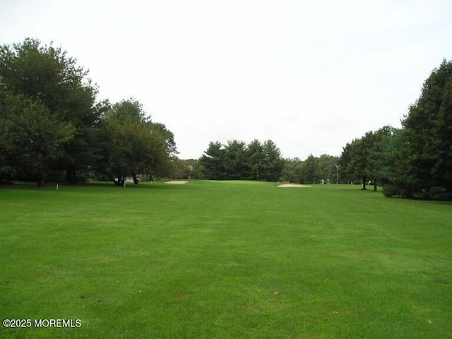 view of community with a yard