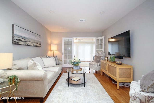 living room featuring wood-type flooring