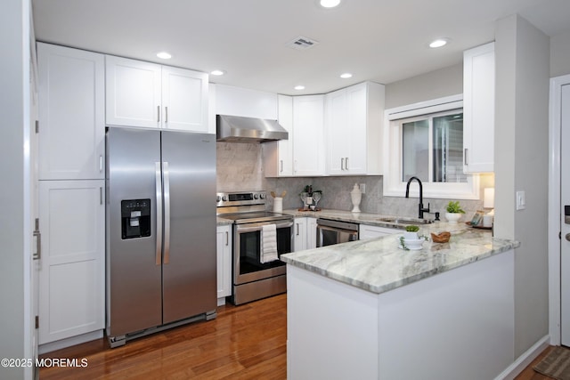 kitchen with white cabinetry, sink, ventilation hood, and stainless steel appliances