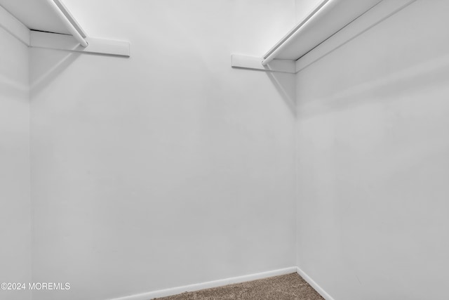 spacious closet featuring carpet