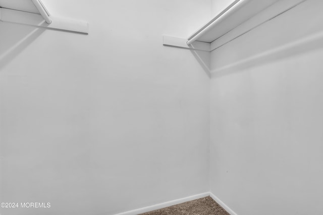 spacious closet with carpet floors