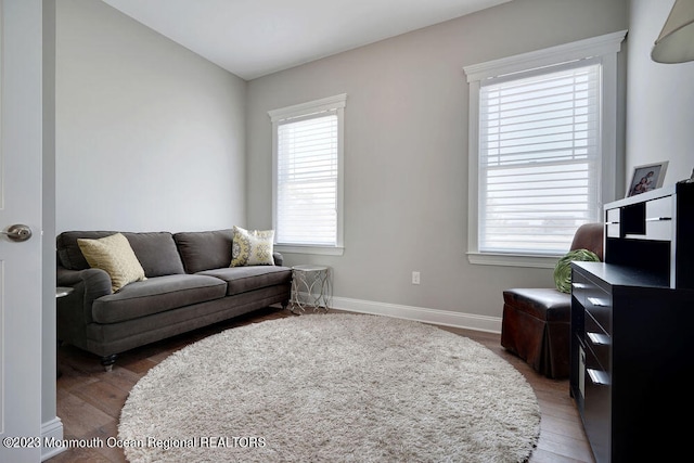 living room featuring wood-type flooring