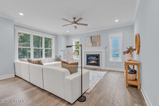 living room with crown molding, light hardwood / wood-style flooring, and ceiling fan