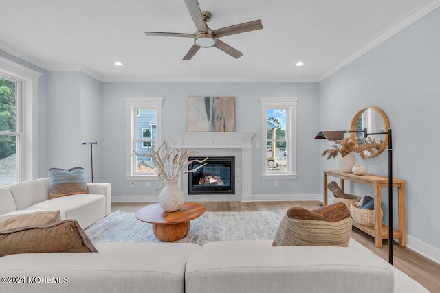 living room with light hardwood / wood-style floors, a fireplace, ornamental molding, and plenty of natural light