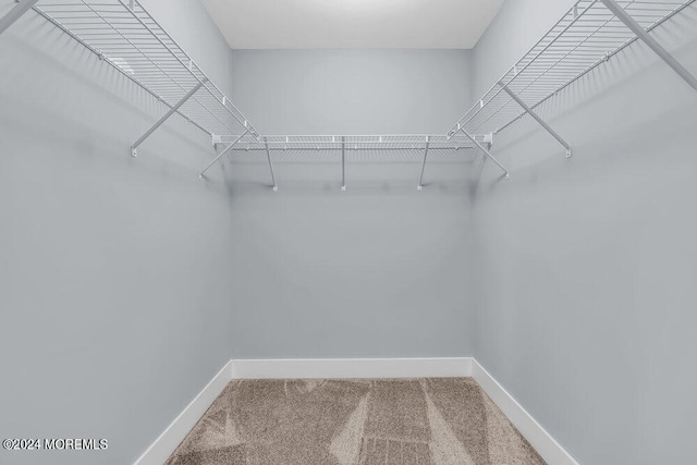 walk in closet featuring carpet