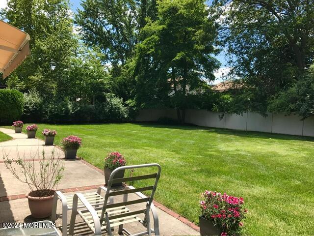 view of yard featuring a patio