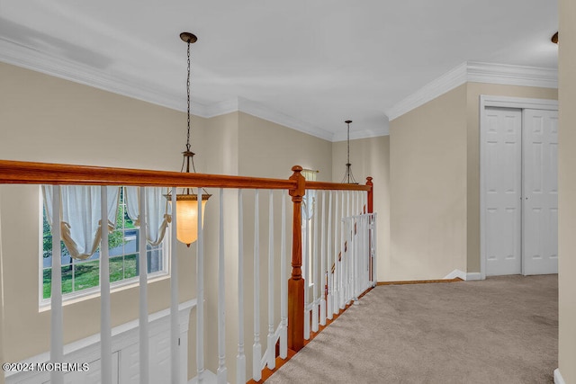 hallway featuring ornamental molding and carpet floors