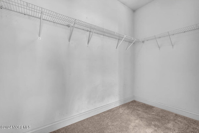 walk in closet featuring carpet