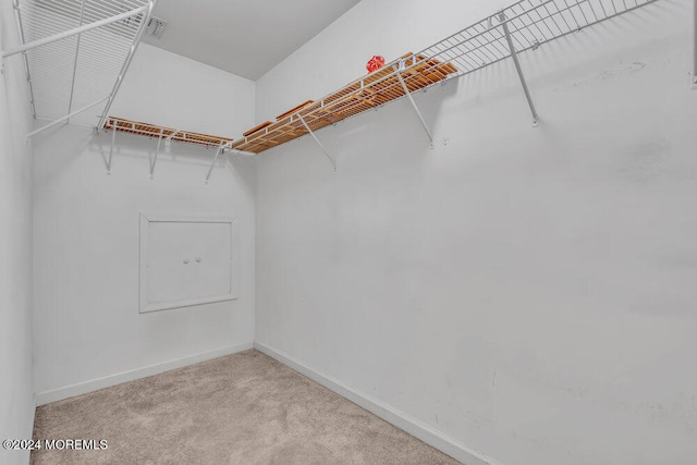 walk in closet with light carpet