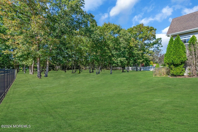 view of yard