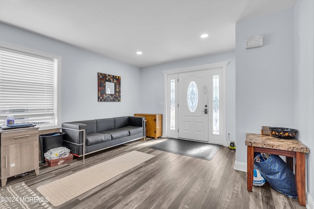 foyer with hardwood / wood-style flooring