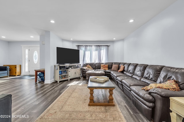 living room featuring dark hardwood / wood-style floors