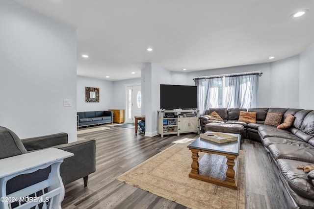 living room featuring hardwood / wood-style floors