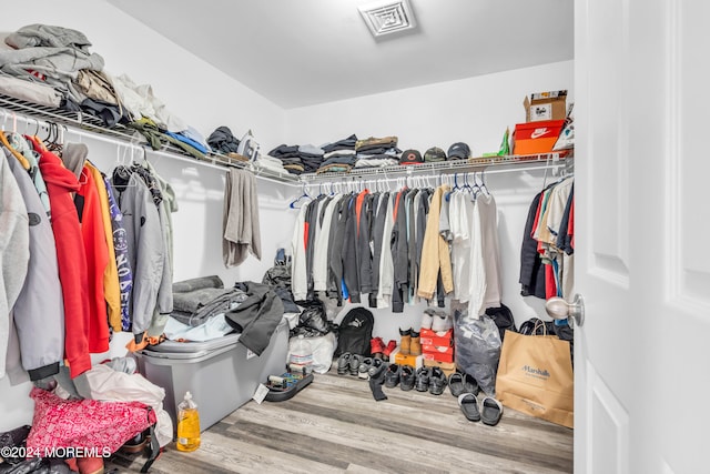 spacious closet with wood-type flooring