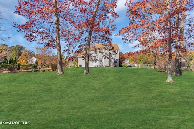 view of yard