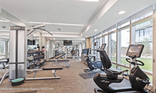 exercise room featuring a wall of windows, a tray ceiling, and carpet flooring