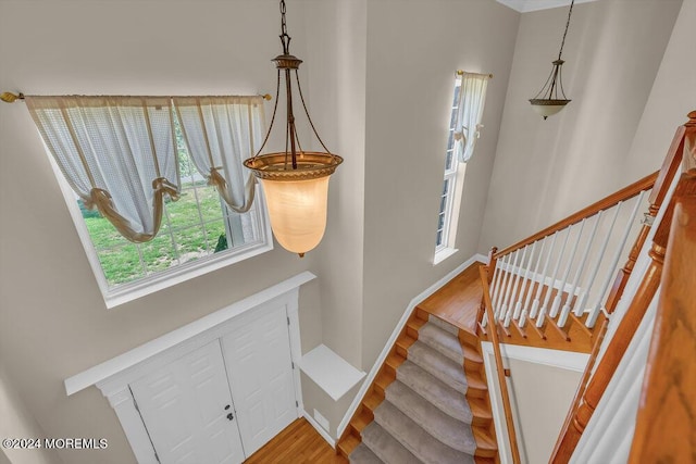 stairway with wood finished floors and baseboards